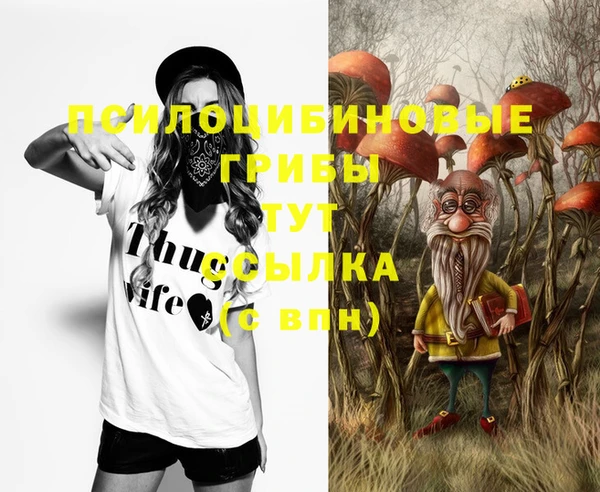 прущие крисы Балахна
