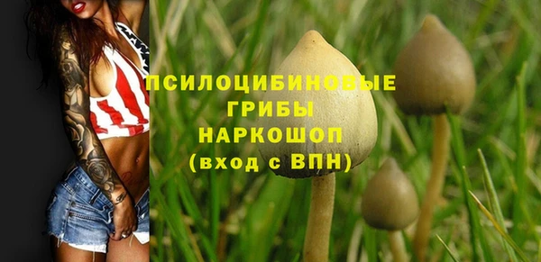 прущие крисы Балахна